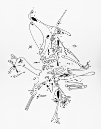 CRASH MODEL (Archival ink on paper,  35.6cm x 27.9cm,Dirk Marwig 2007)