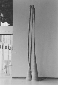 Untitled Object at Frankfurt Opera  (5000 Plywood discs, aluminum poles, 500cm x 100cm x 105cm, Dirk Marwig 1997)