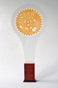 Sweet Delicate Thing  (Old Drum skin, Plex-glass, Orange string + Blood wood base, 97cm x 43.5cm x 8cm, Dirk Marwig 2014)